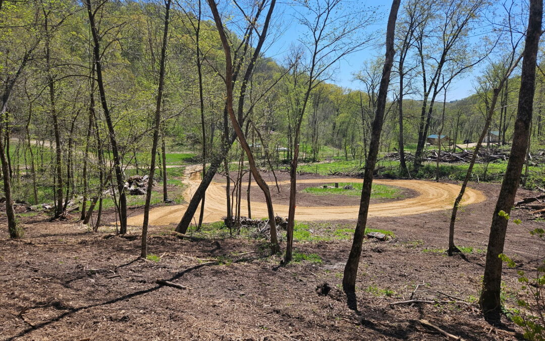 Hunting Property Clean up and Forestry Mulching- Ferryville, WI